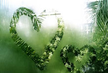 佛罗伦萨队主场作战，信心十足？